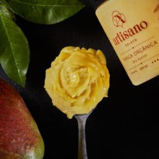 Pote de Gelato Artisano 500 ml - Manga Zero