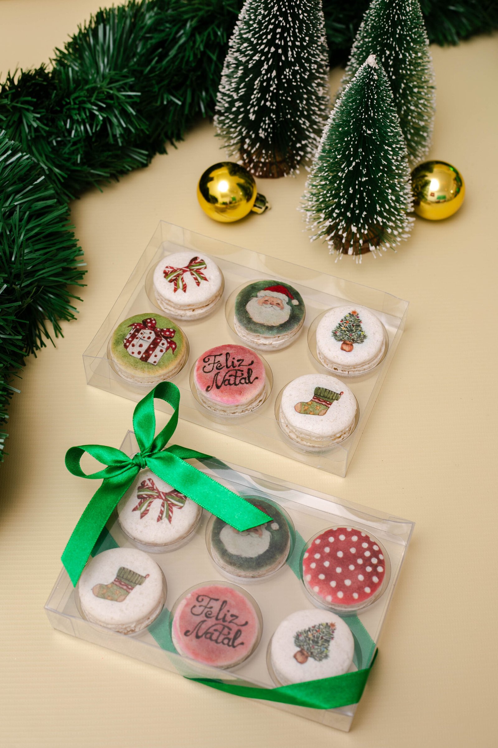 Caixa com 6 Macarons - Aquarelas da Polly Degan