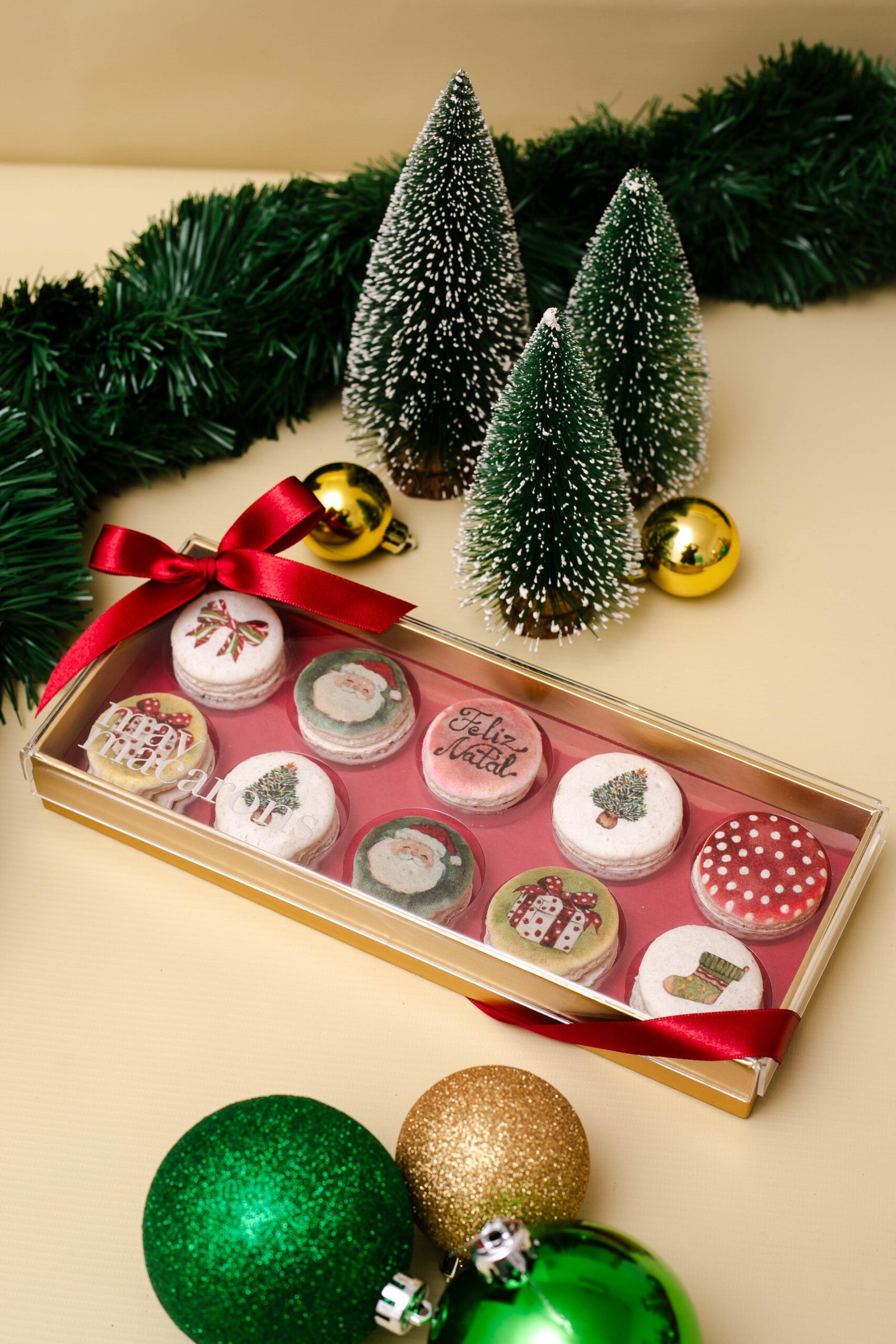 Caixa 10 macarons - Aquarelas Polly Degan