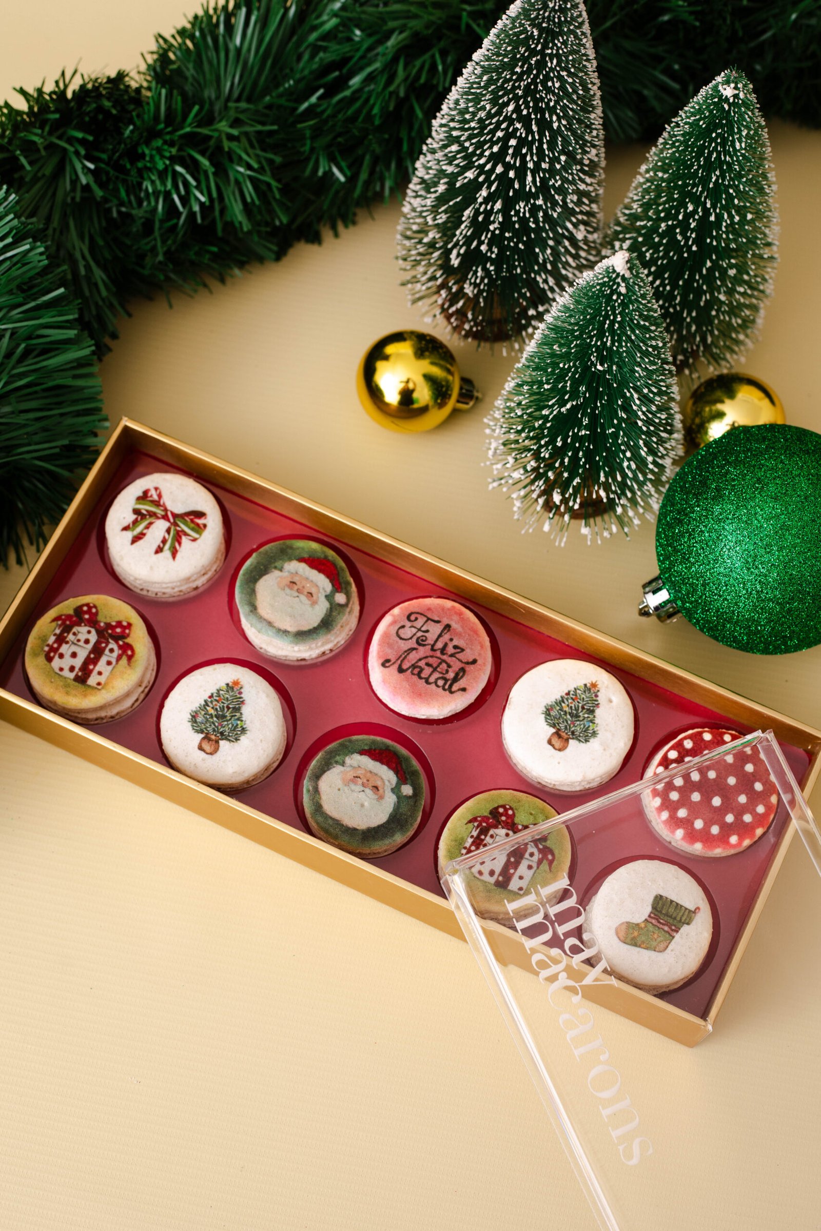 Caixa 10 macarons - Aquarelas Polly Degan - Imagem 2