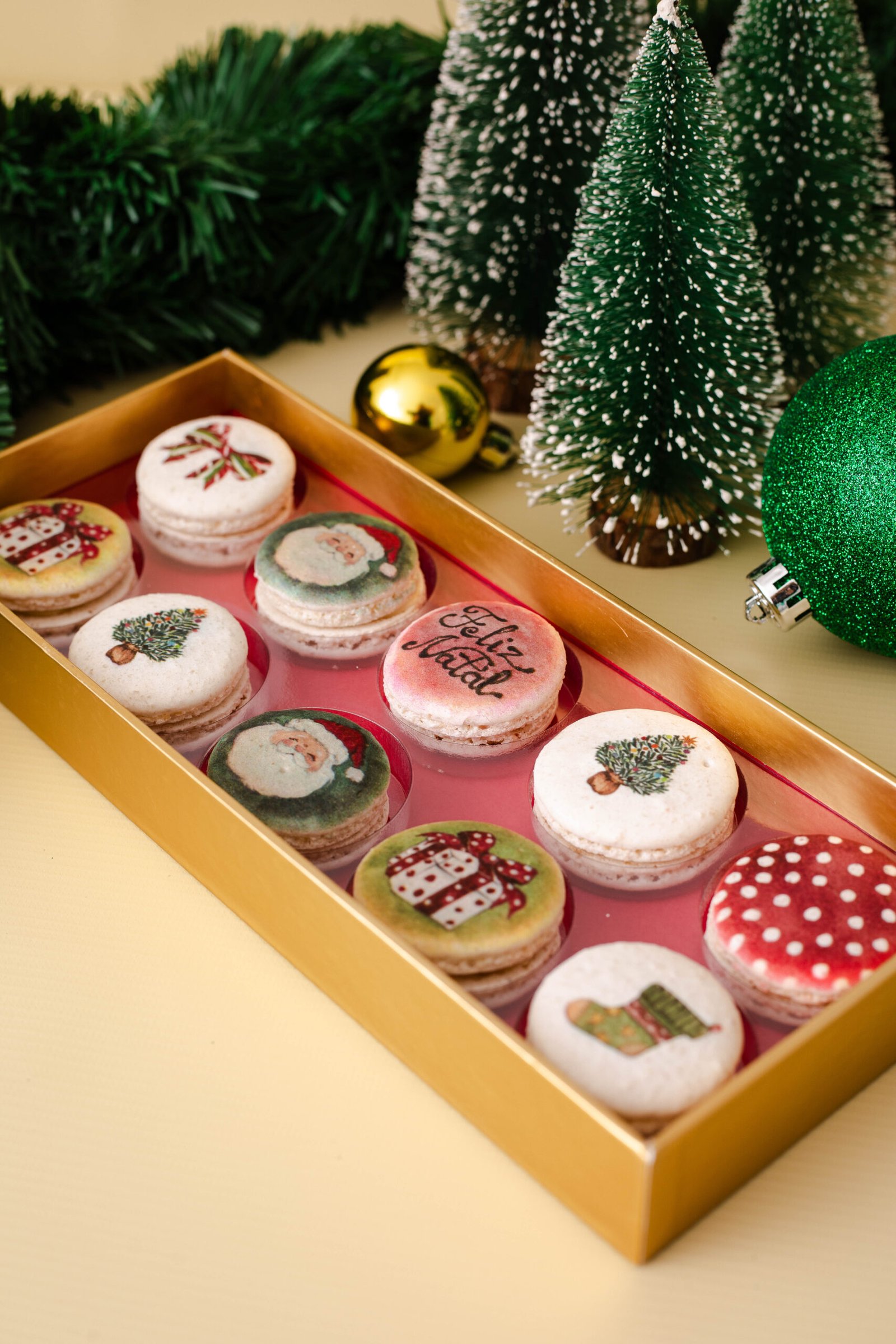 Caixa 10 macarons - Aquarelas Polly Degan - Imagem 3